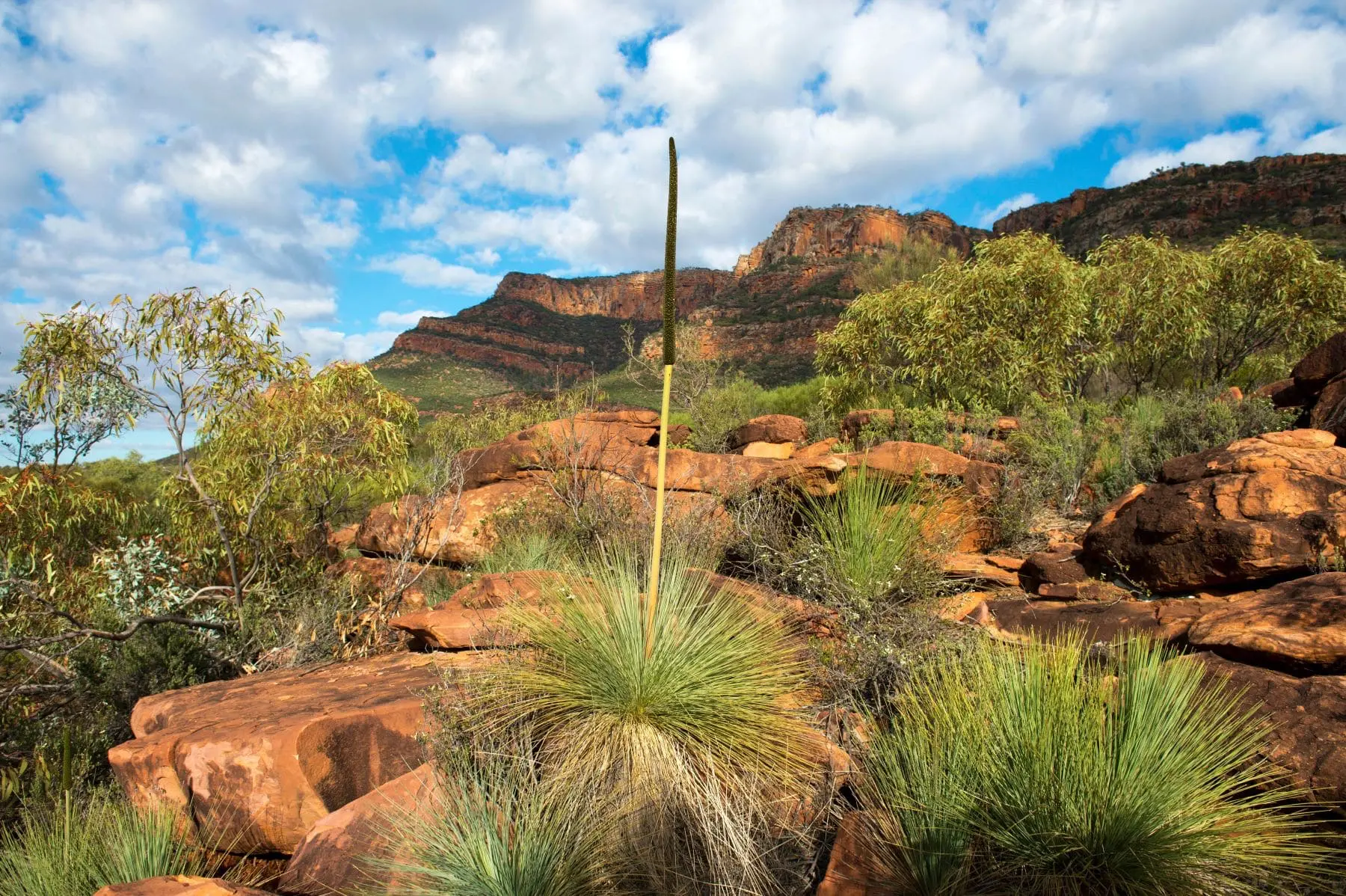 adelaide to uluru package