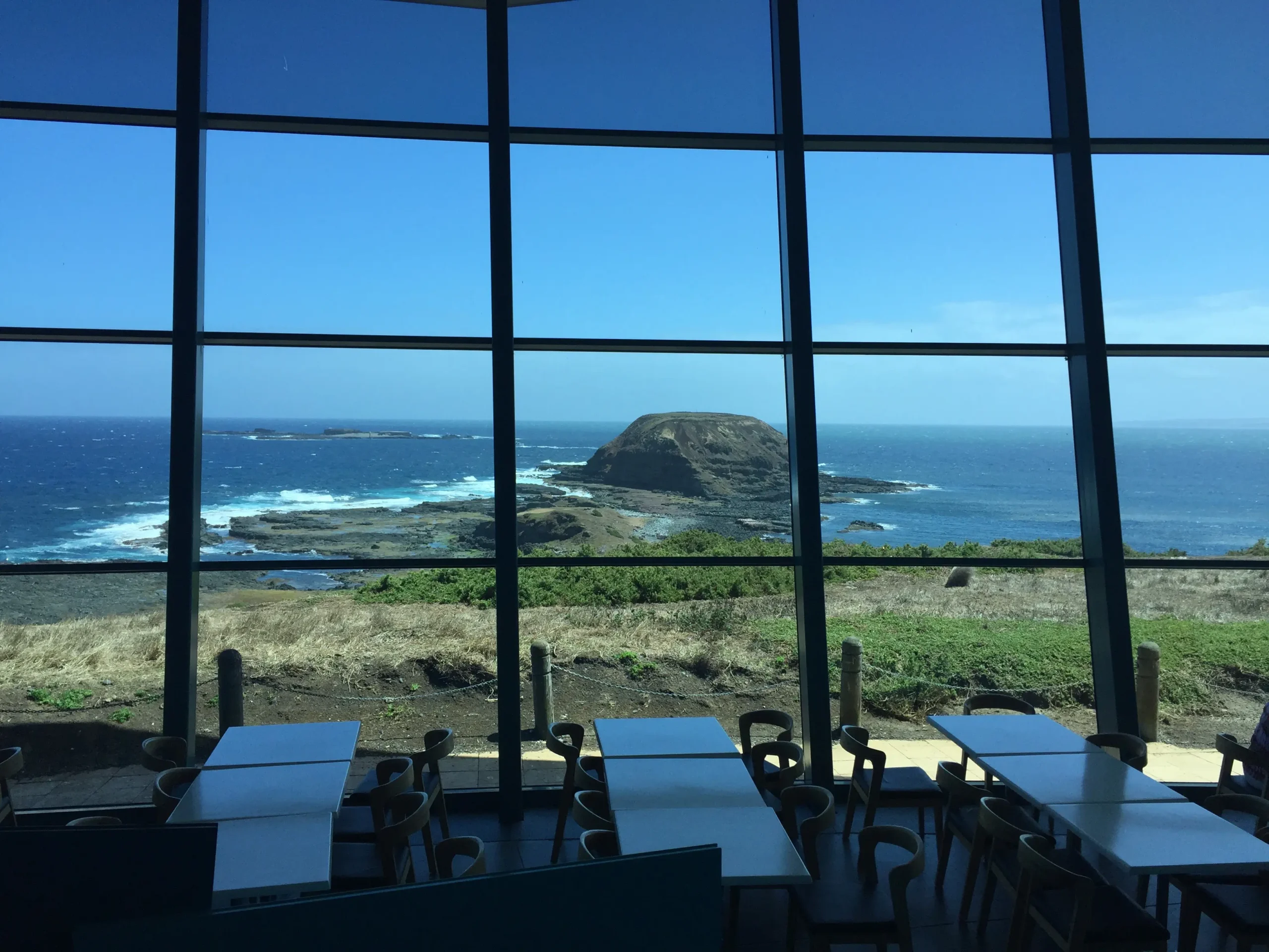 Nobbies Seals Centre 3