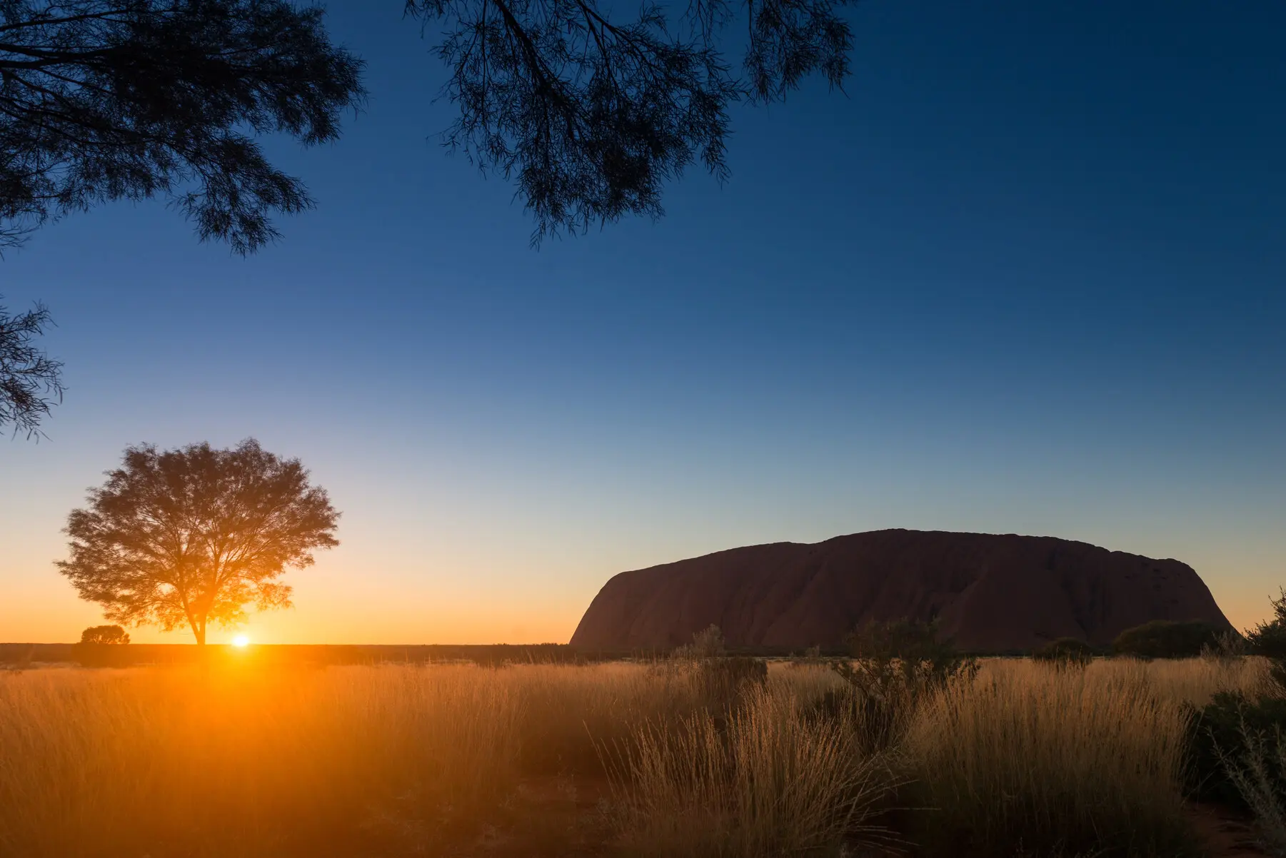 alice spring to uluru tour