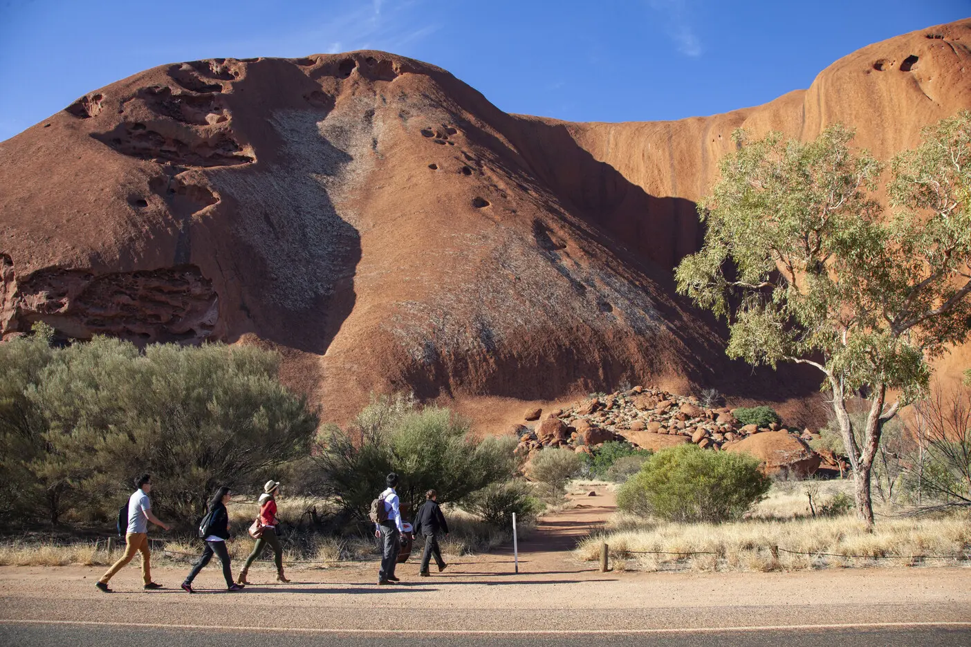 alice springs to uluru tours