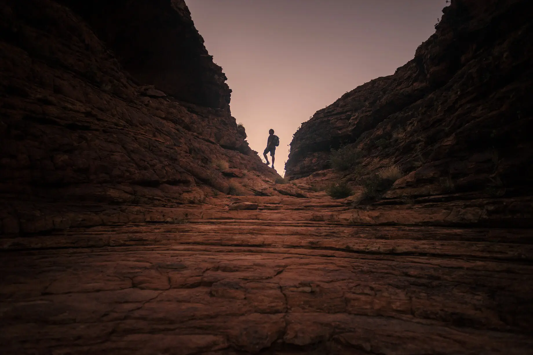 alice springs tours to ayers rock