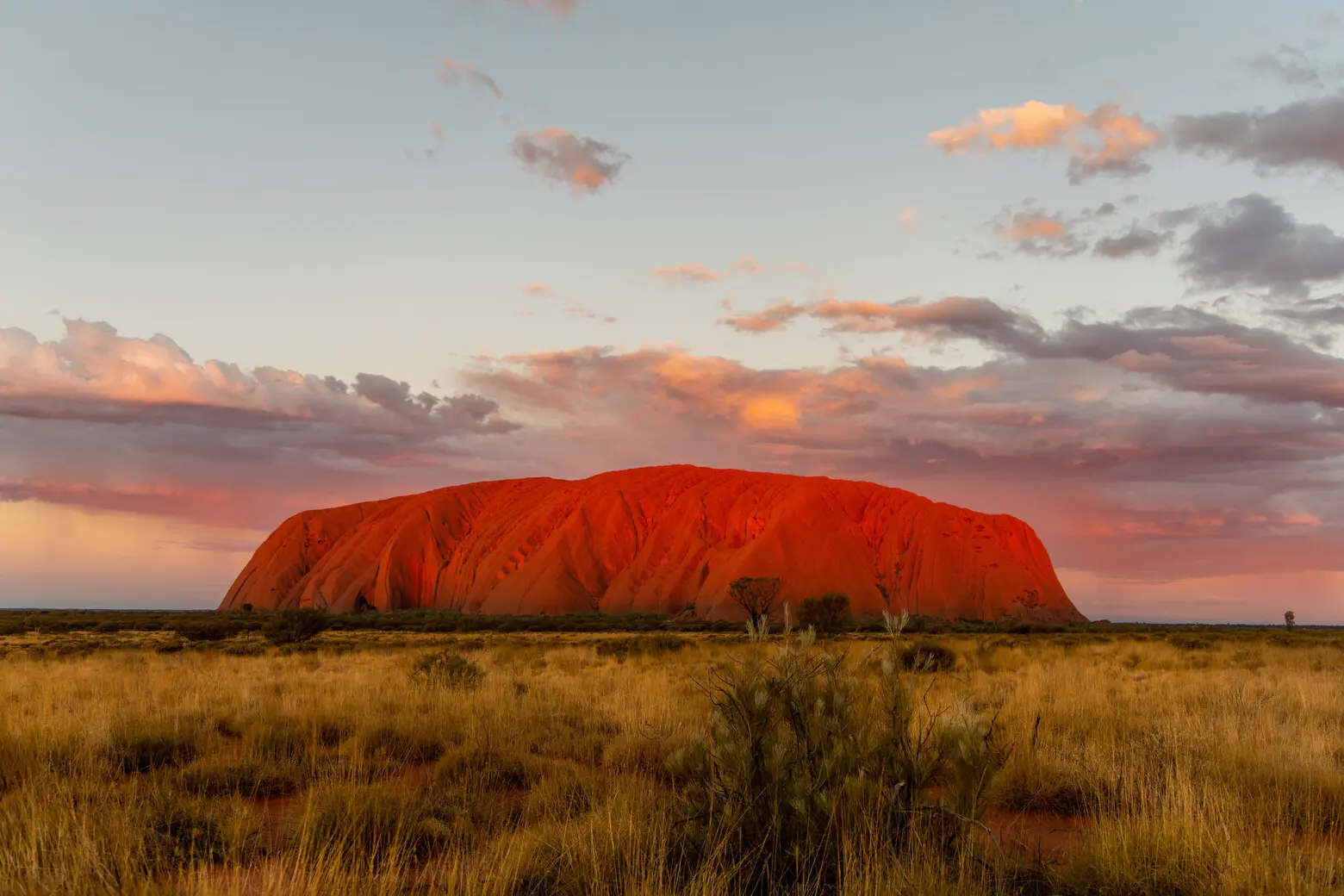 alice springs tours to uluru