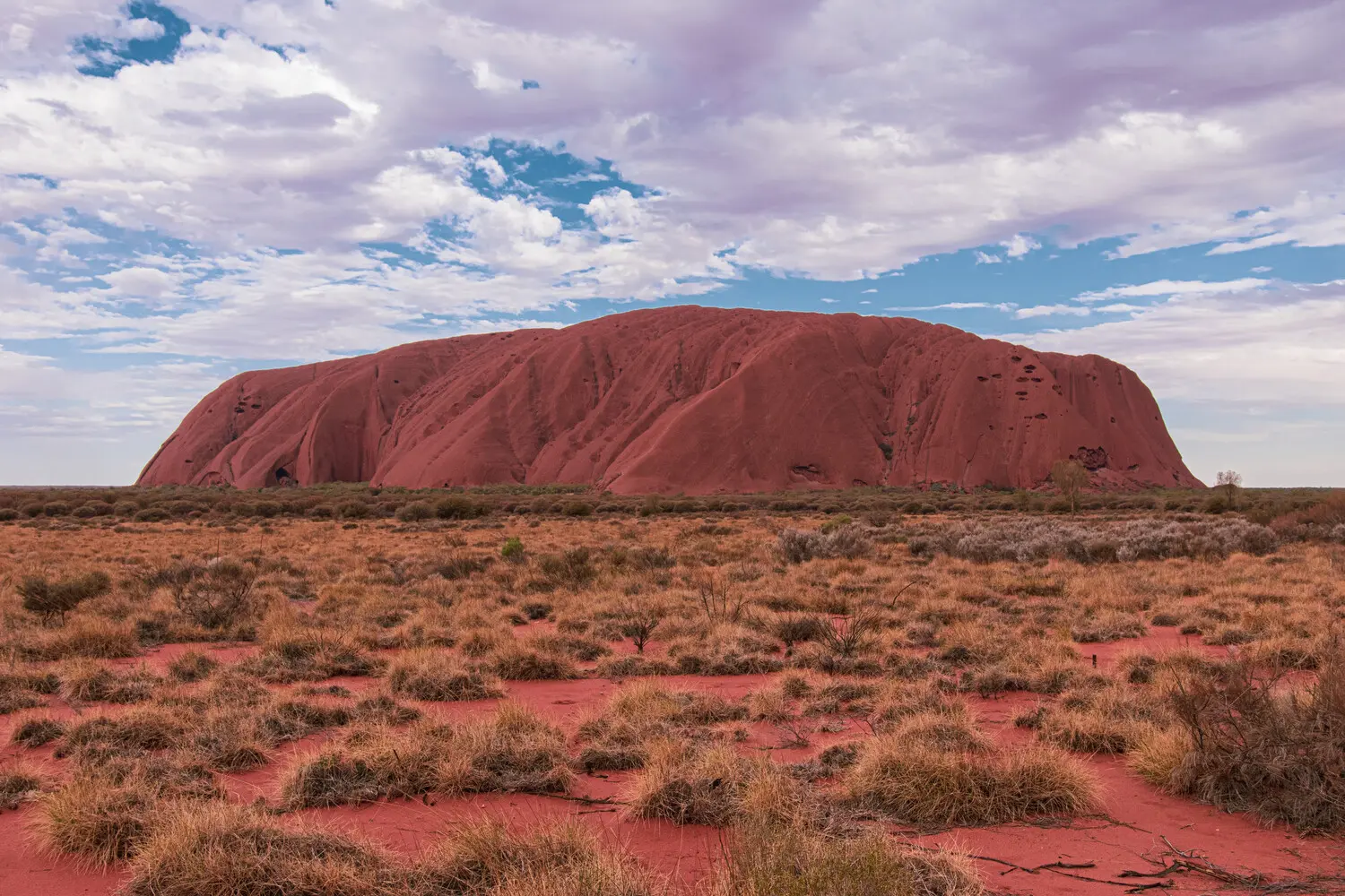 ayers rock tours