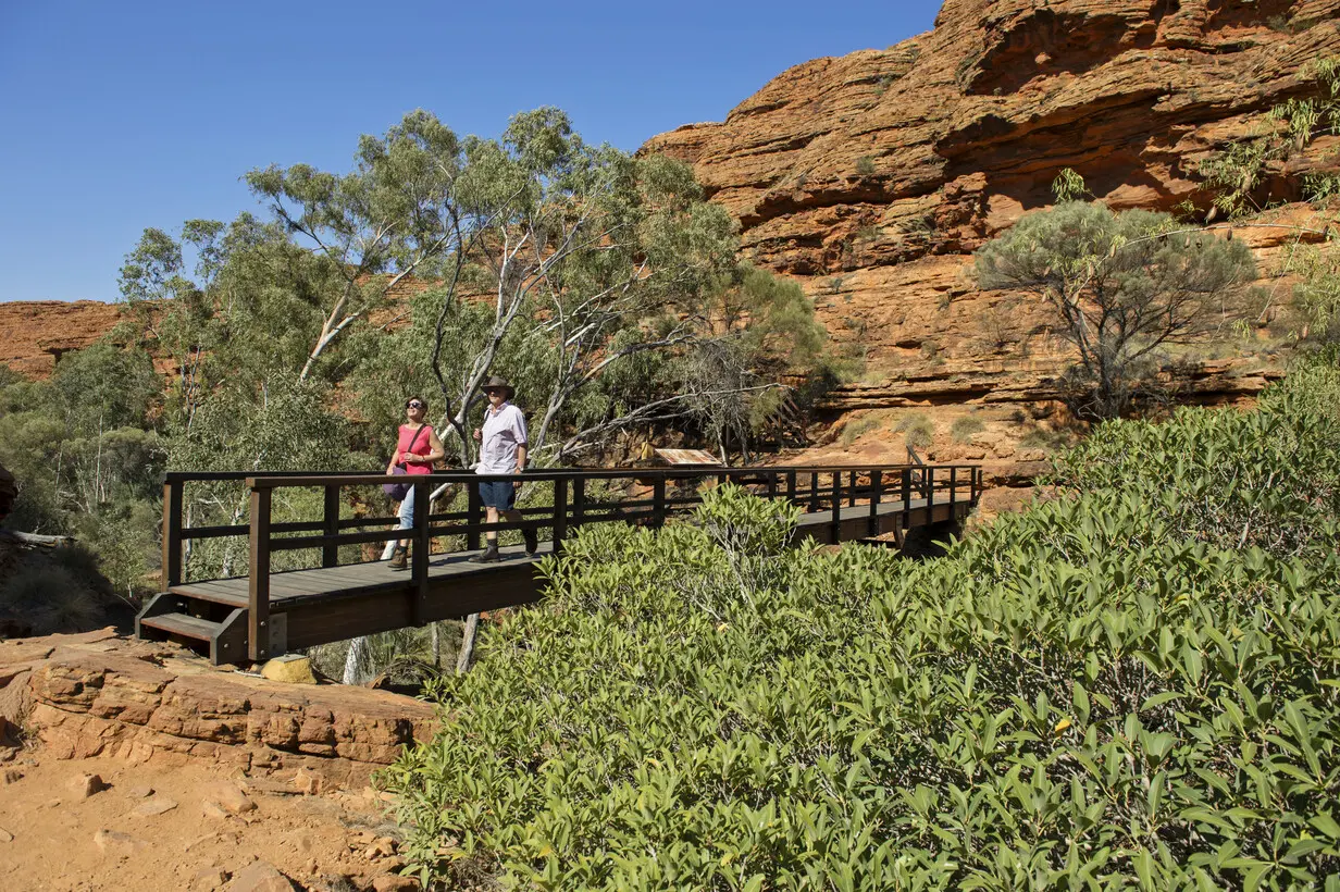 best tours ayers rock