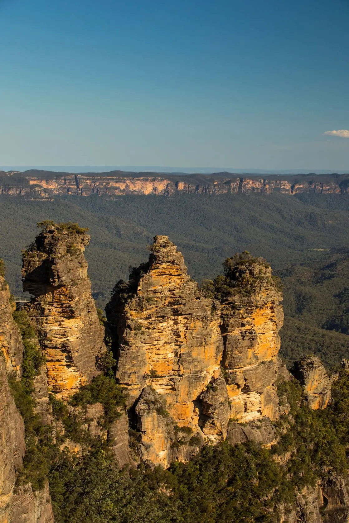 blue mountain day tour sydney
