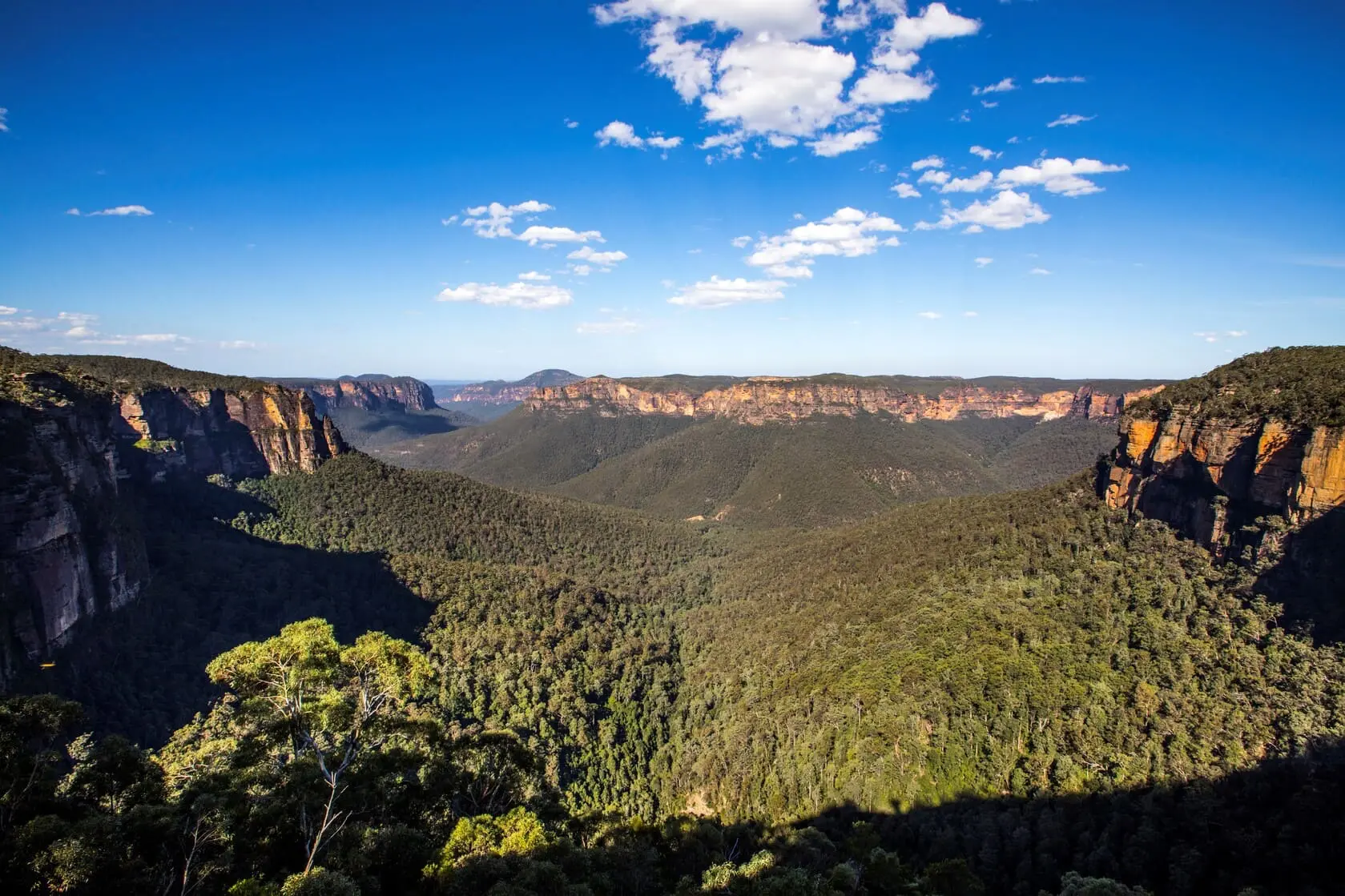 blue mountain package tour