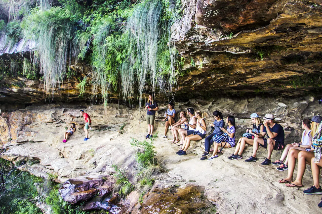 blue mountains sightseeing tours