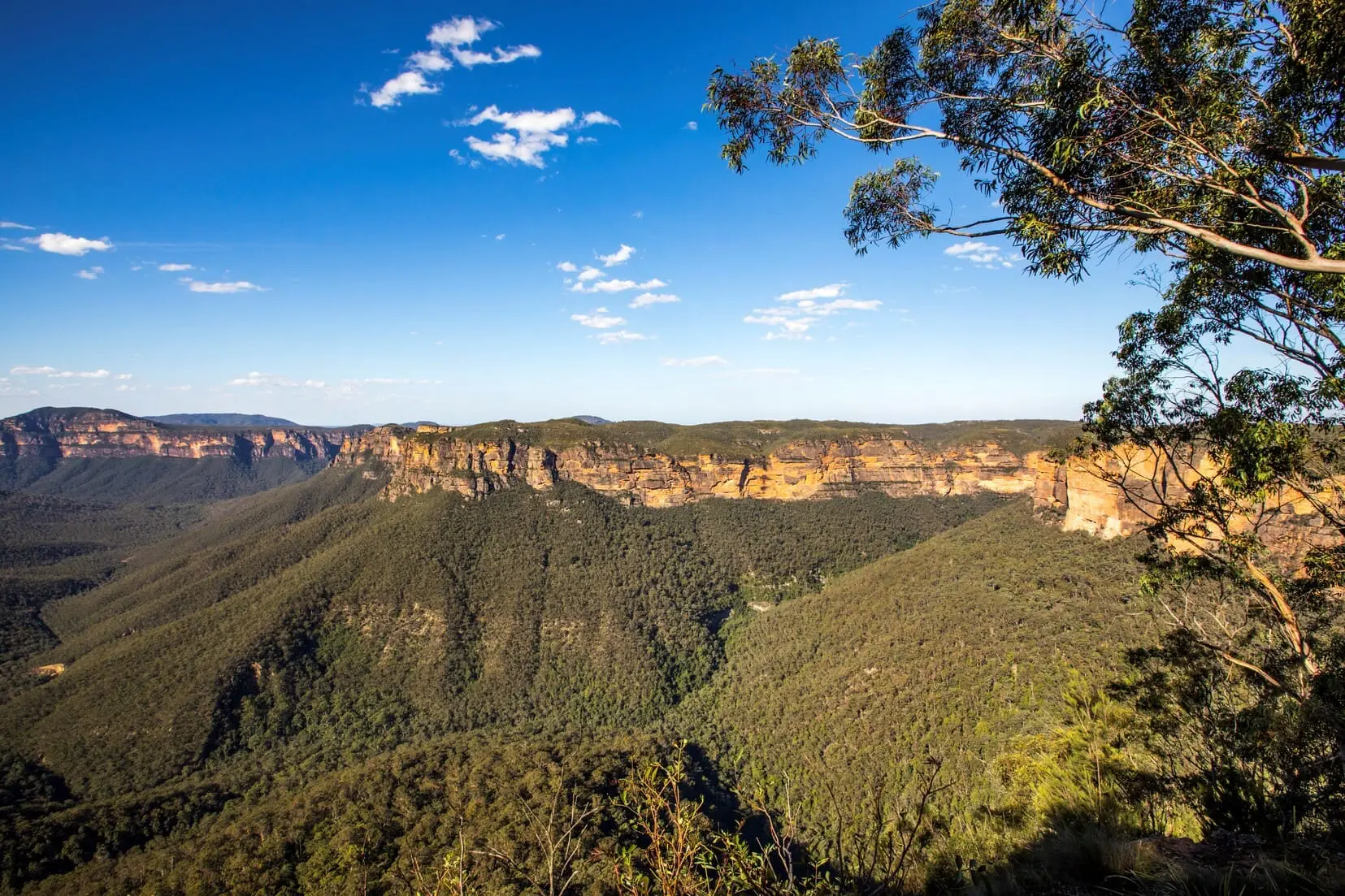 blue mountains tour