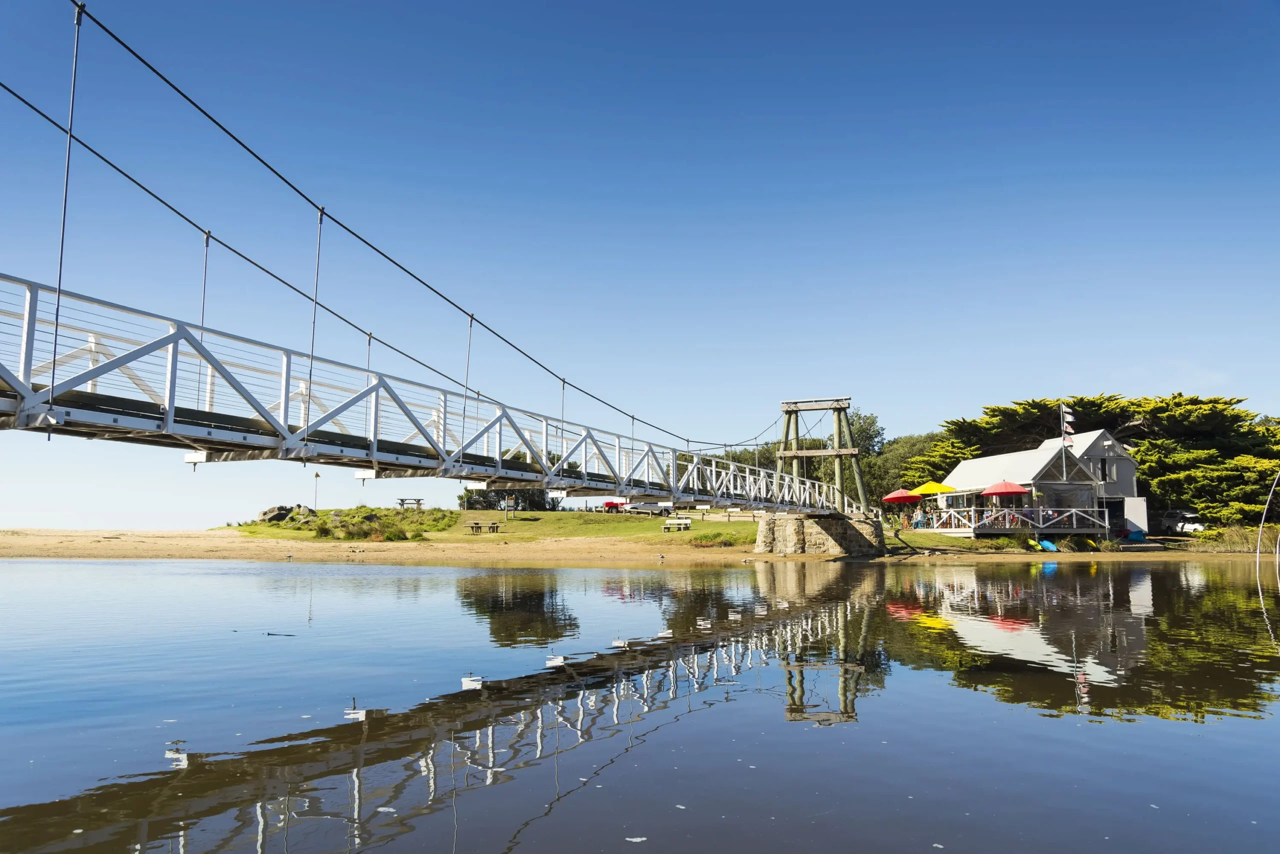 cheap great ocean road tour