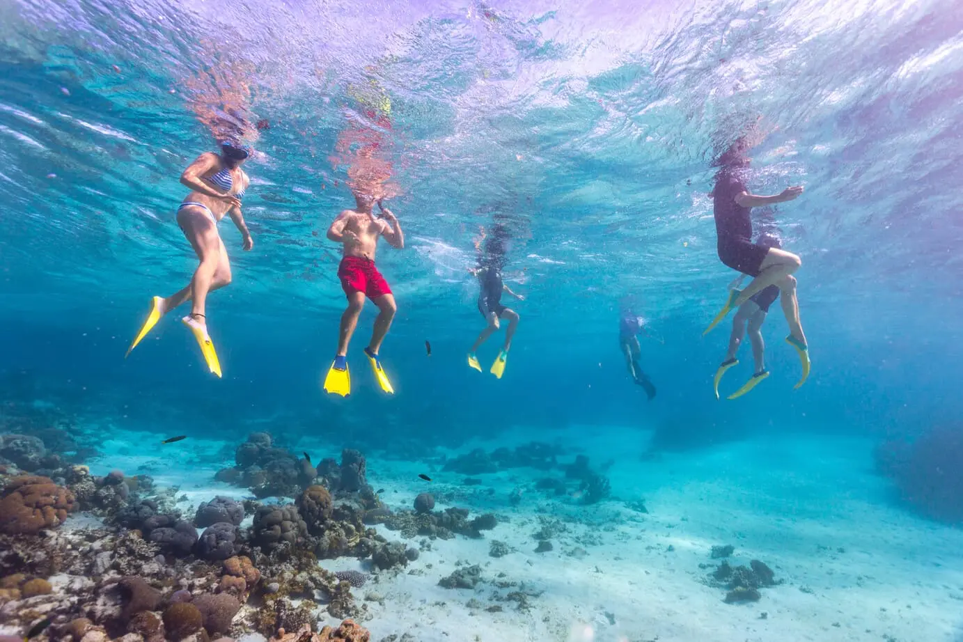 coral bay snorkelling tours