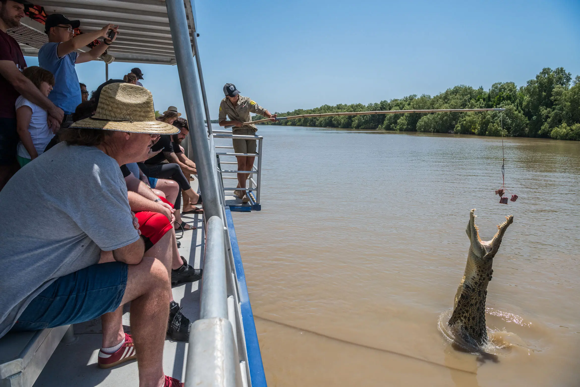 darwin croc tours