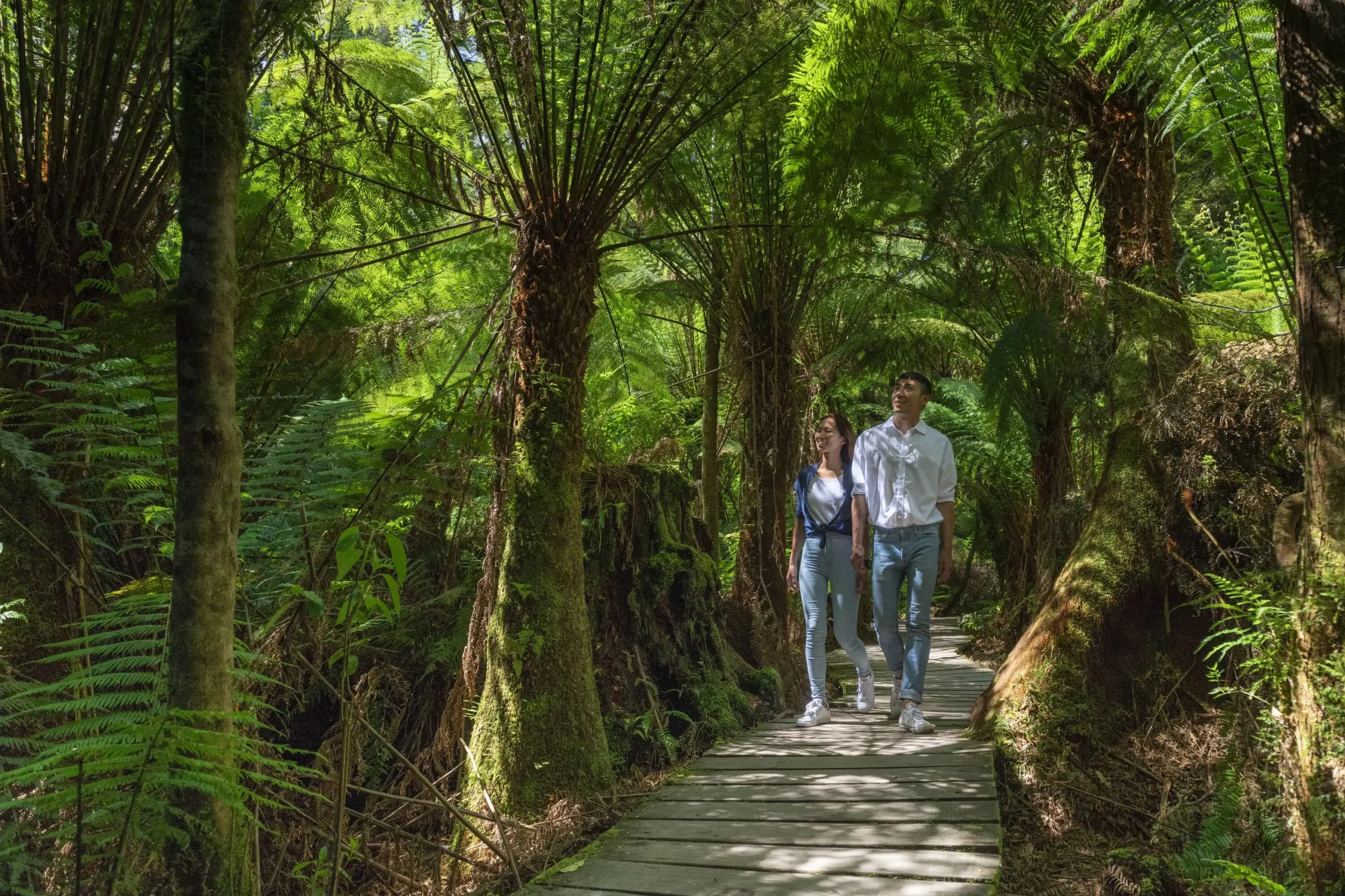 day tour great ocean road