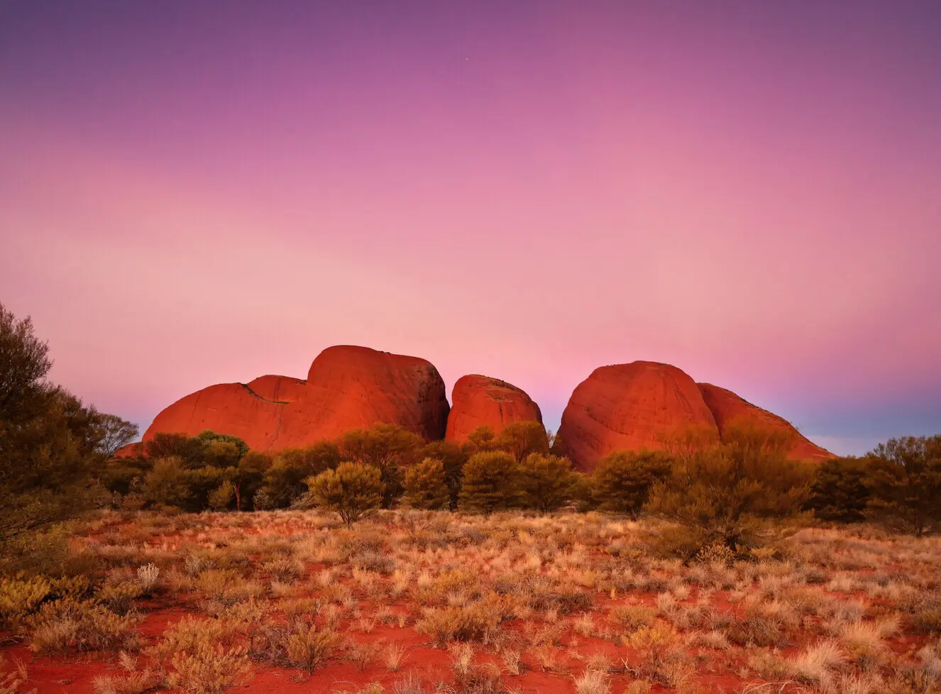 day tours alice springs