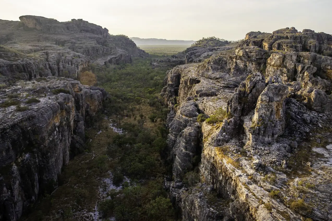 day tours to kakadu from darwin