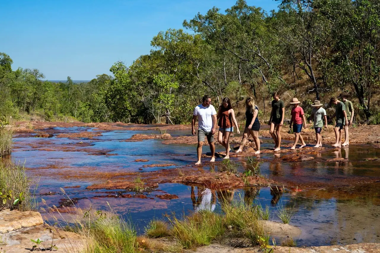 day tours to litchfield national park from darwin