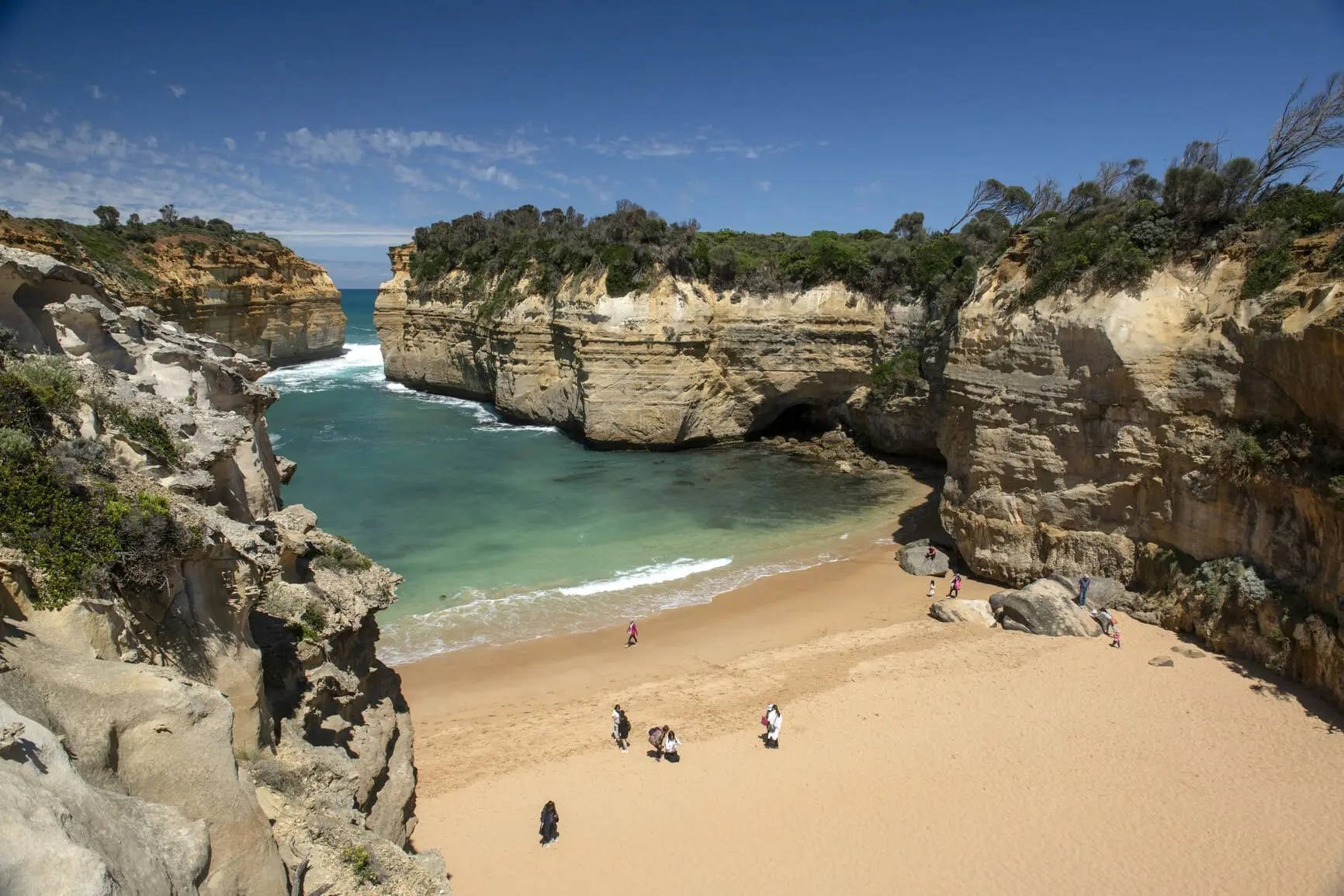 great ocean road tours melbourne