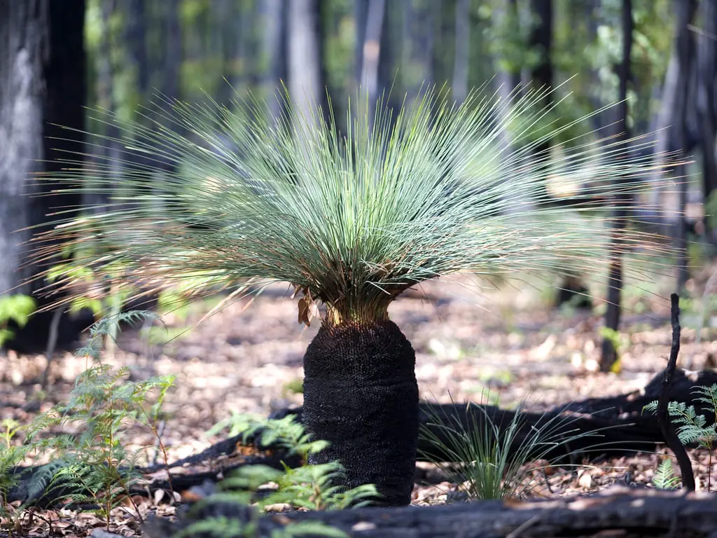 grampians one day tour