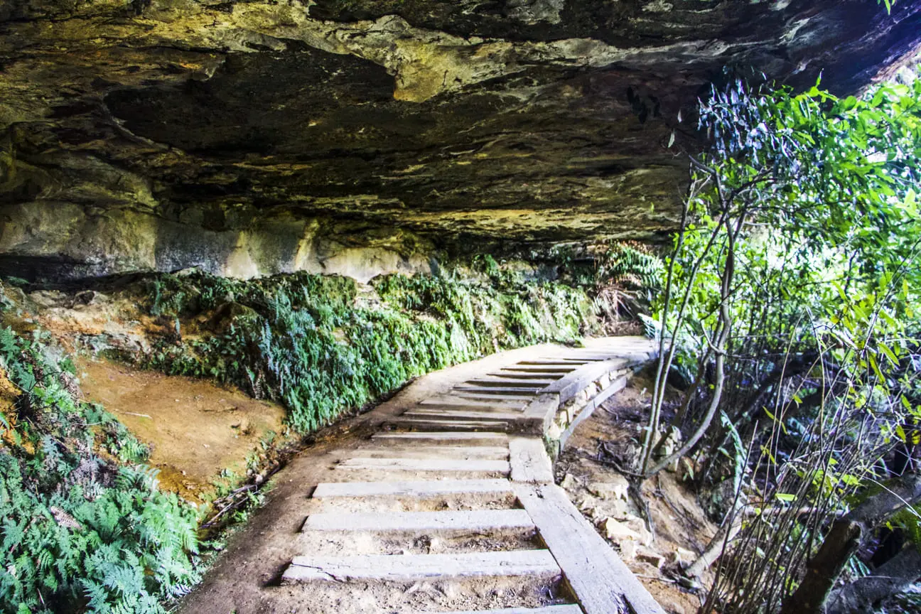 hidden bush trails to wentworth