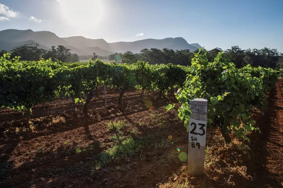 hunter valley wine tasting tour