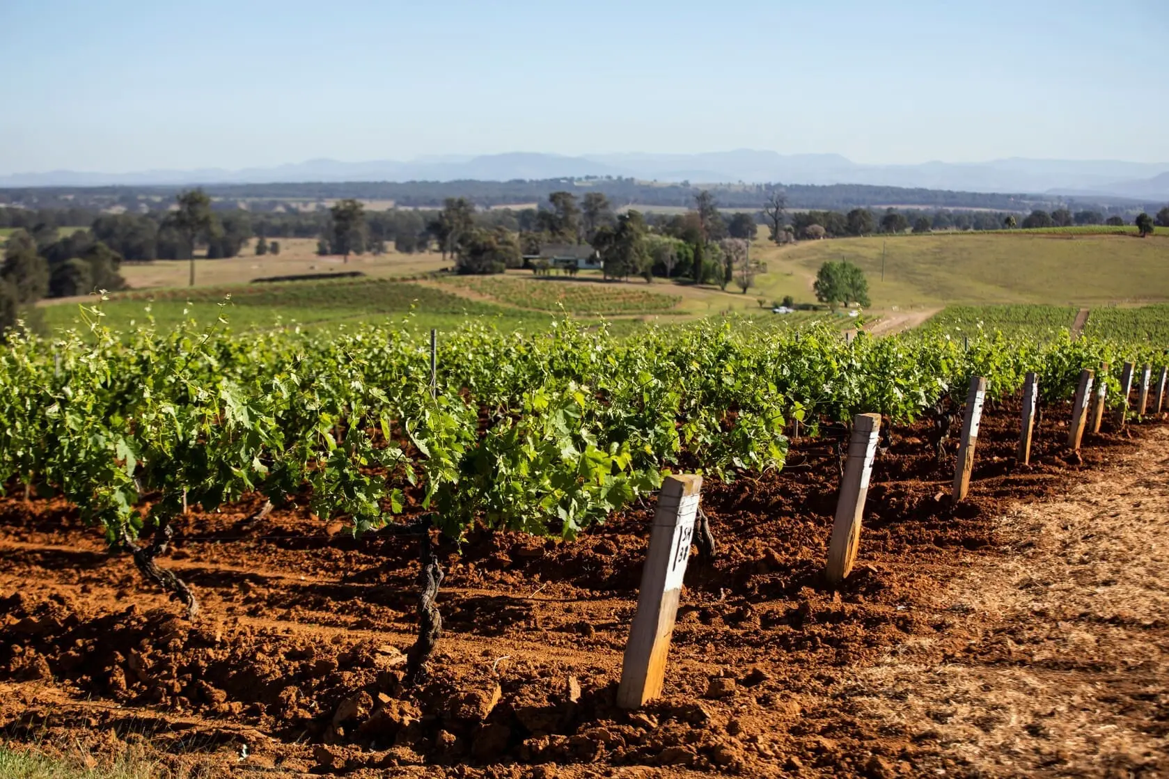 hunter valley wineries tours