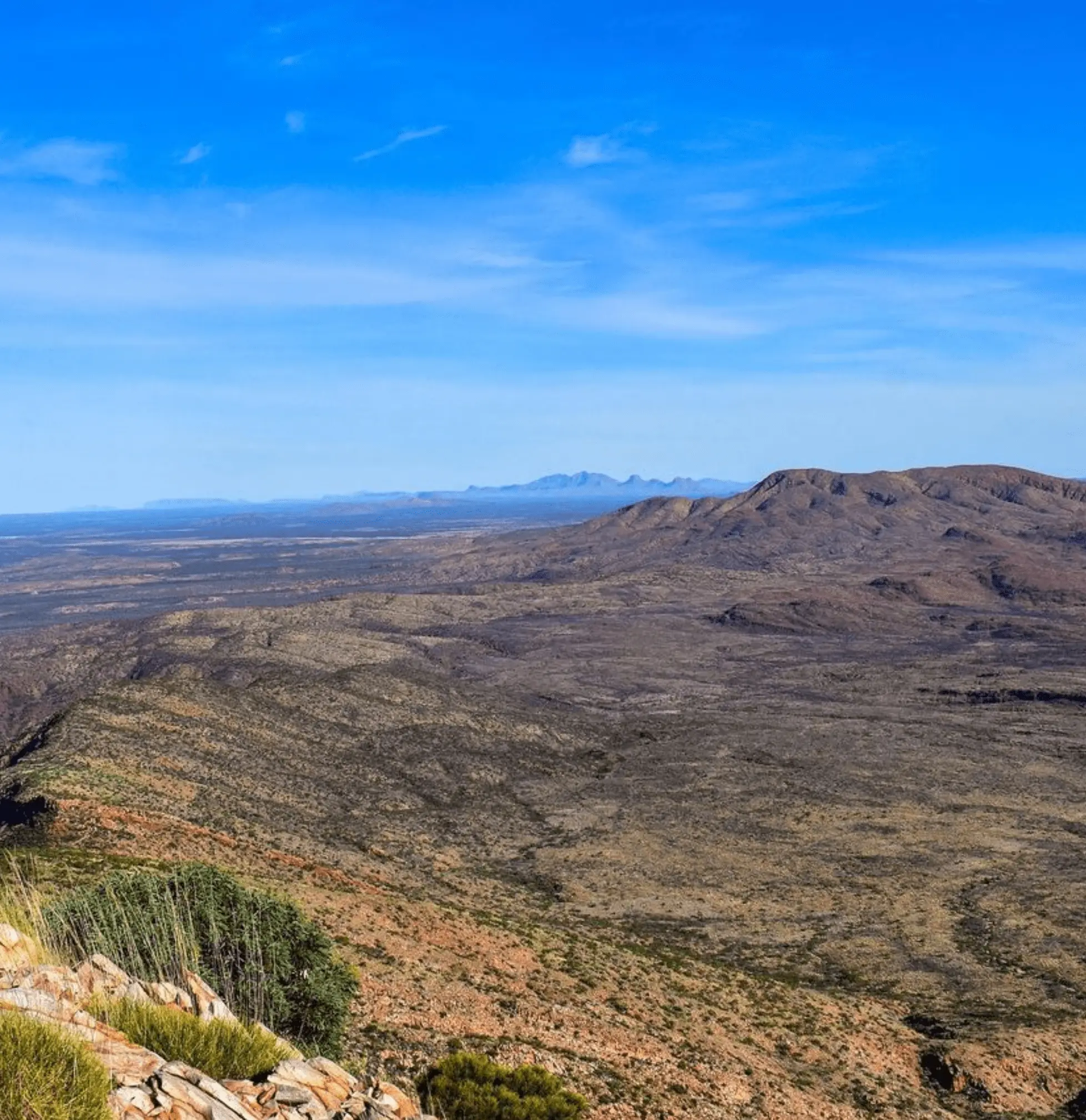 larapinta trail guided walks