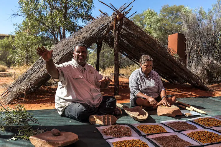 larapinta trail tours