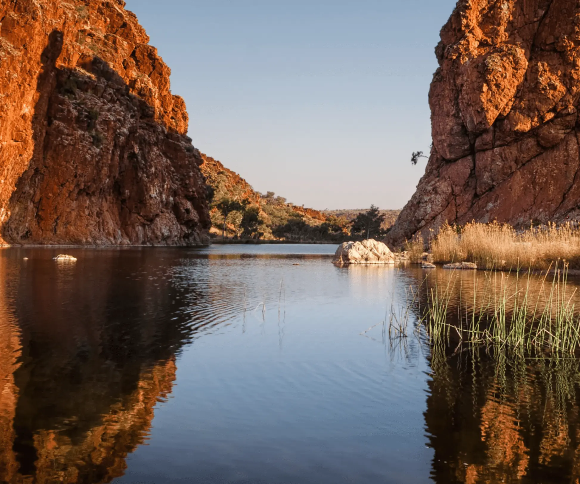 larapinta trail walks