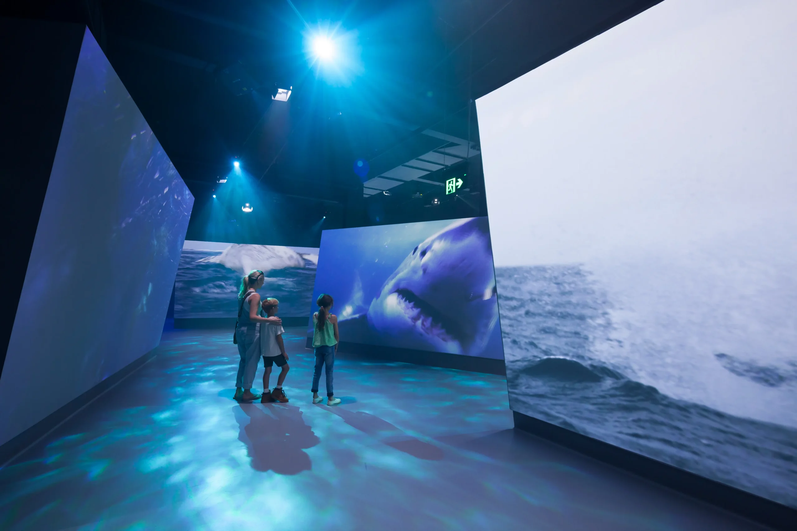 melbourne penguin island