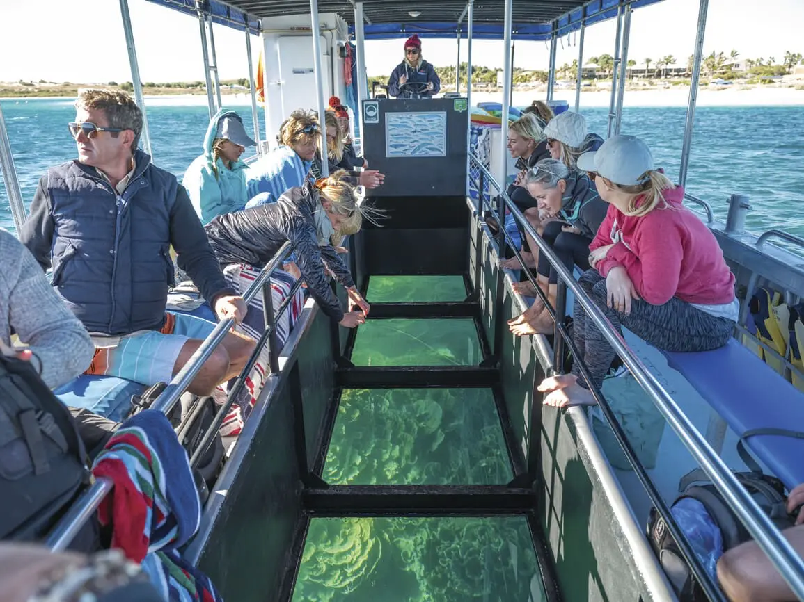 ningaloo reef tours