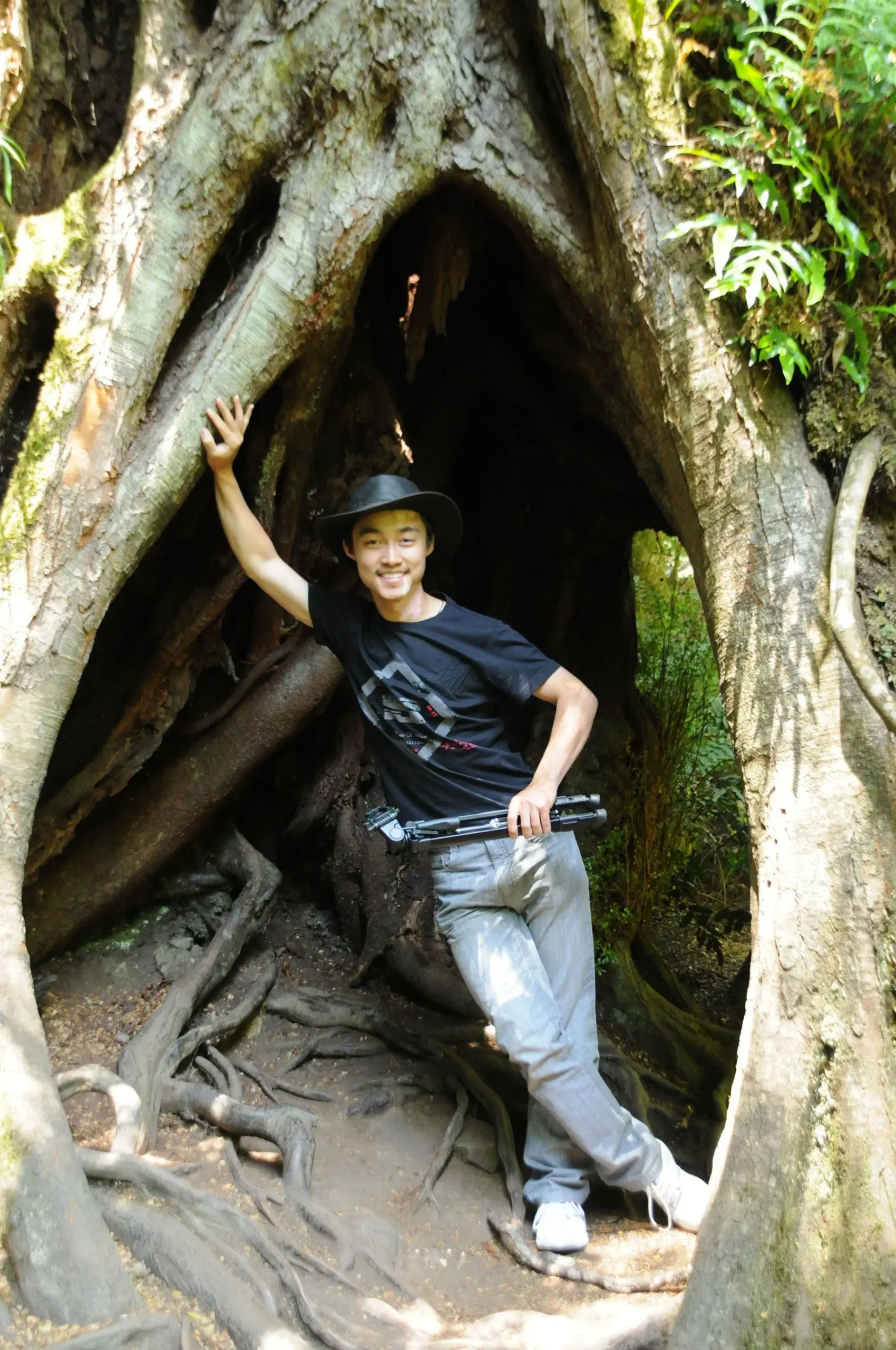 otway discovery tours