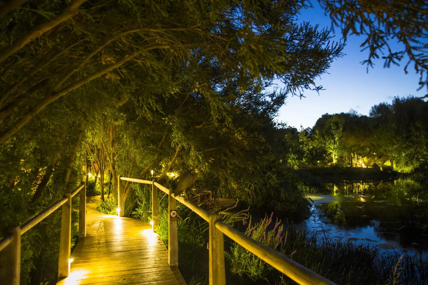 peninsula hot springs tour from melbourne