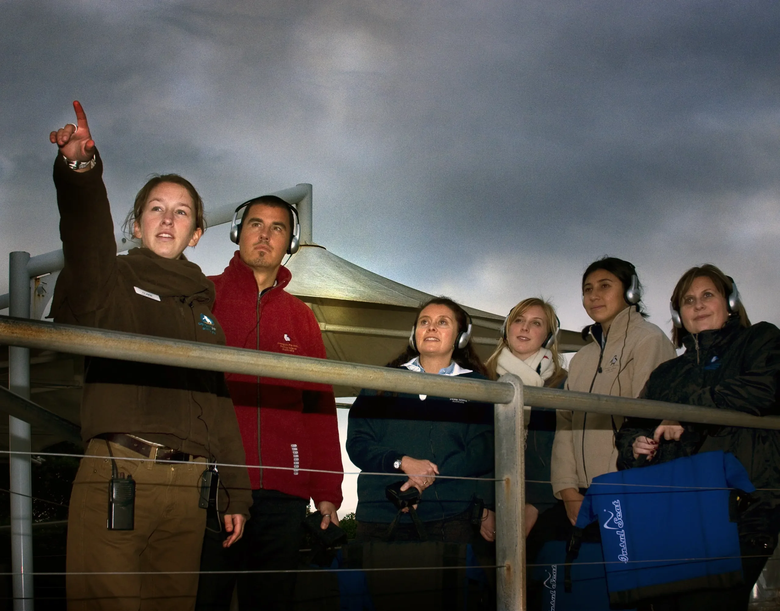 phillip island penguin tours