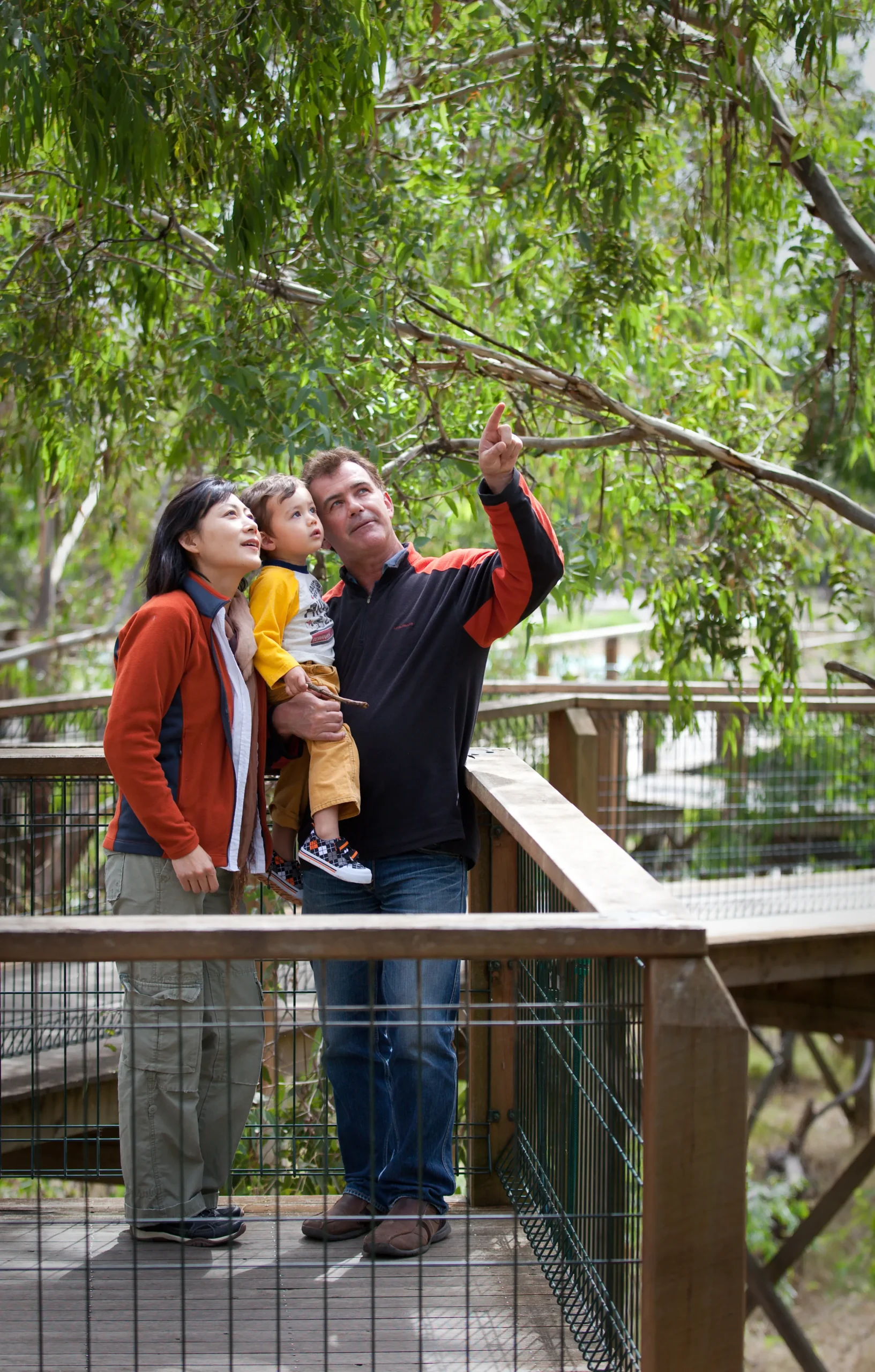 phillips island tour