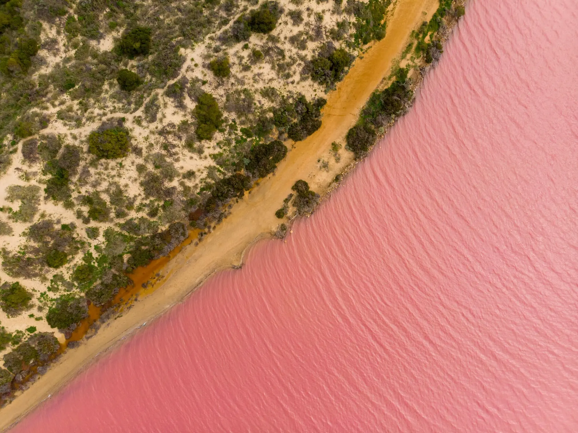 pink lake buggy tours