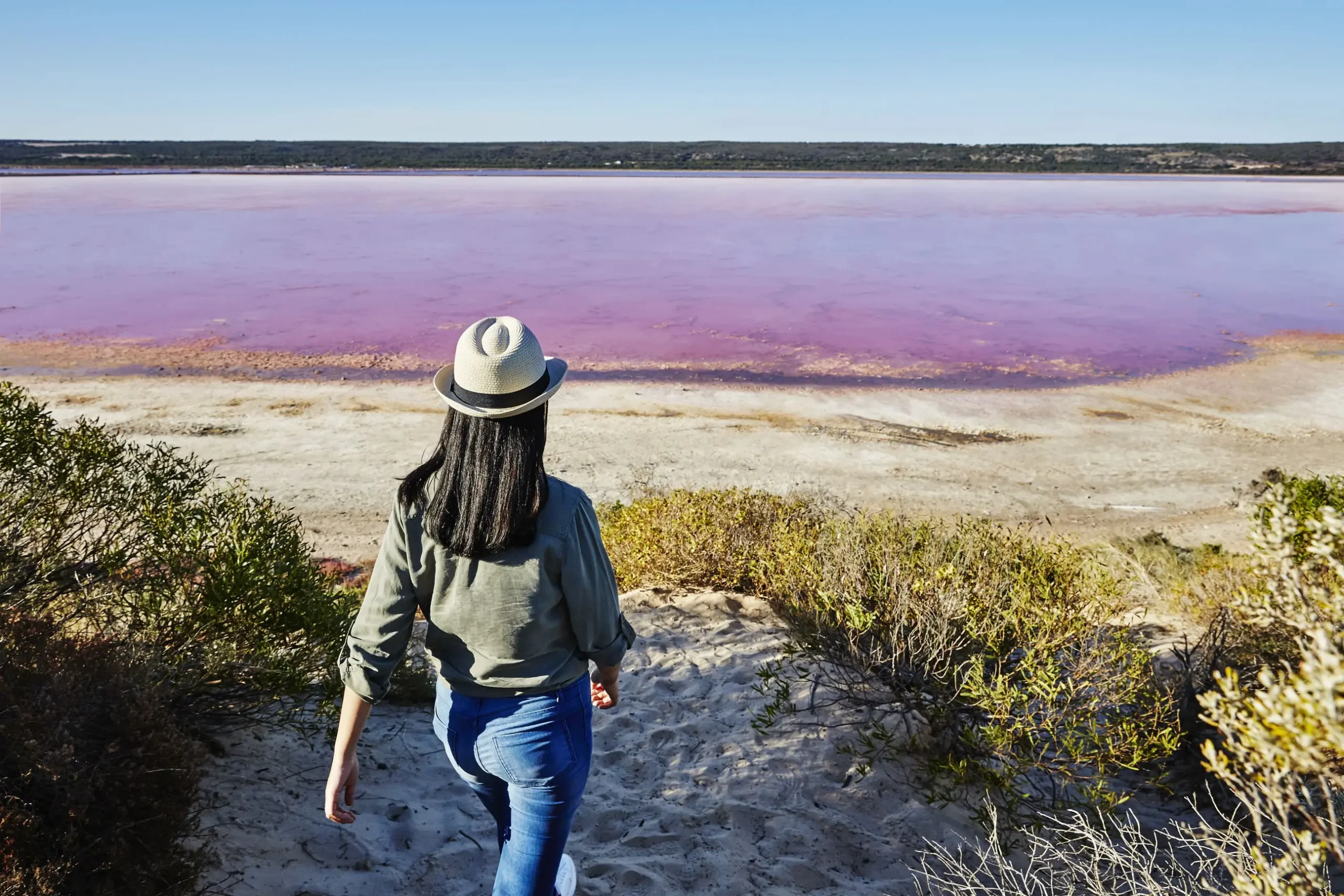 pink lake tours