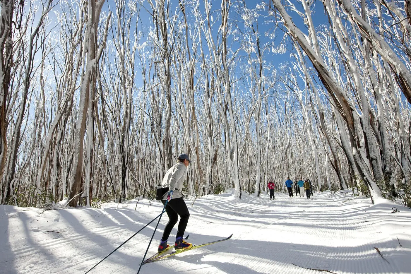 snowy mountains day tours