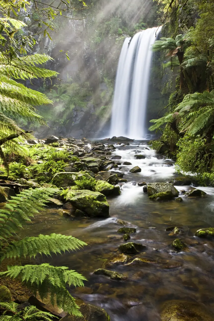 things to do in the otways