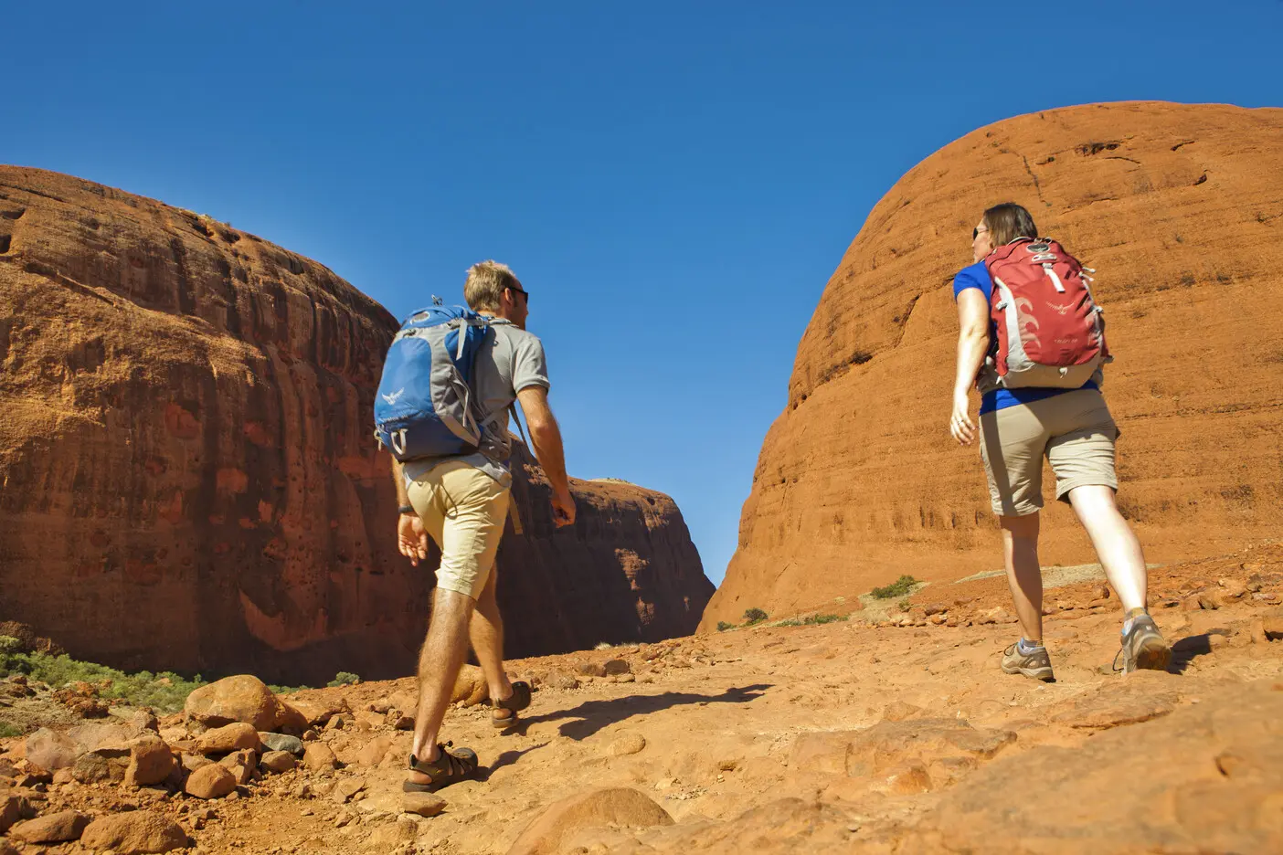 tour uluru from alice springs