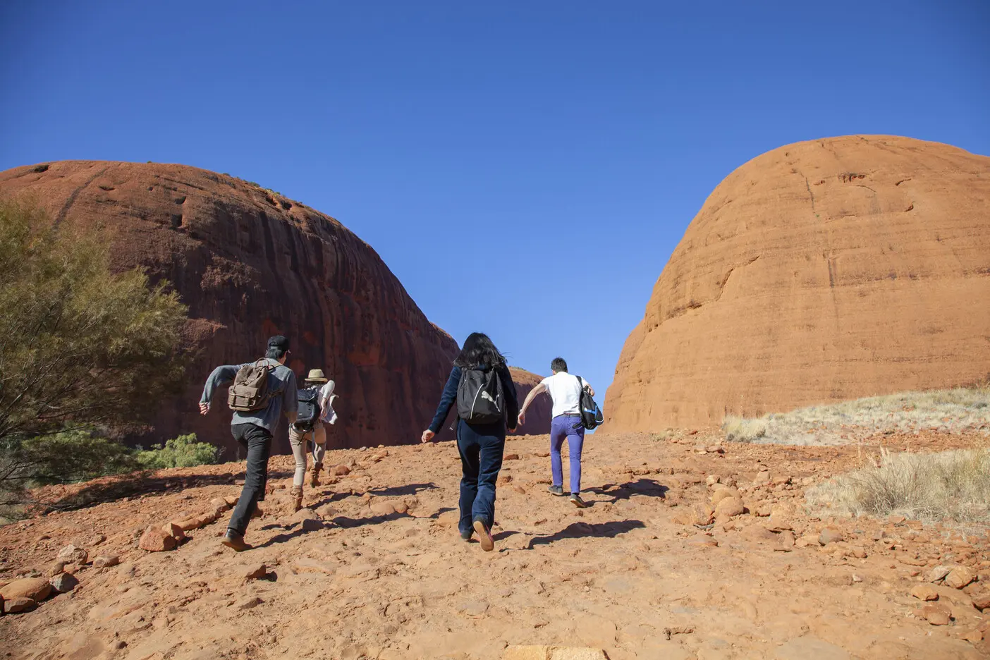 tours alice springs to uluru
