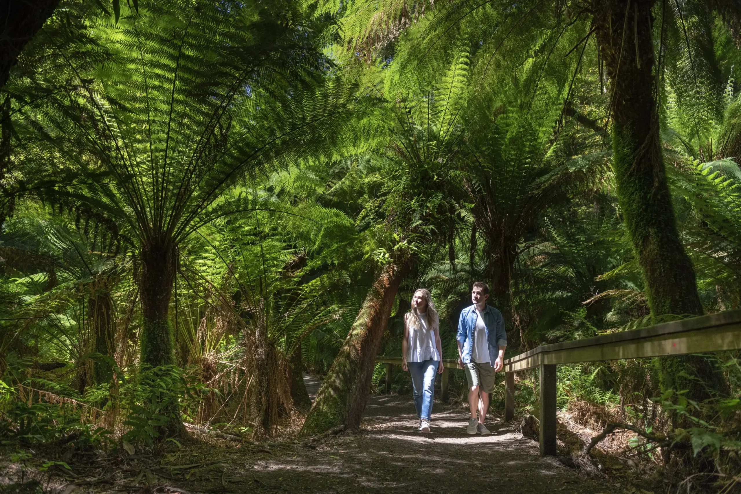 tours of great ocean road