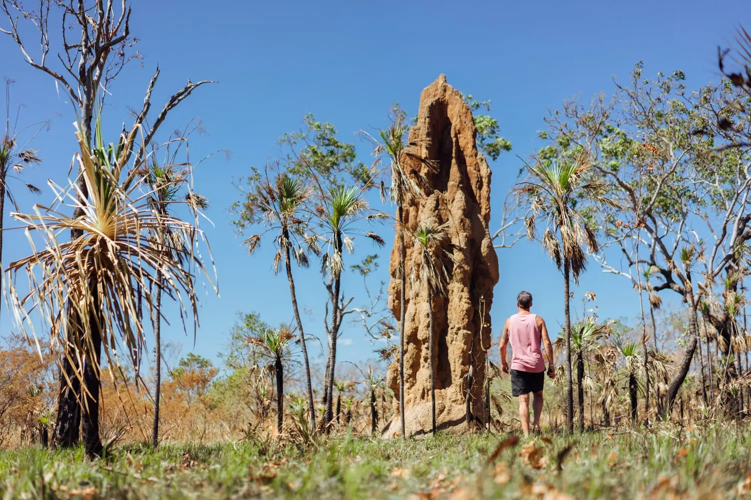 tours of litchfield national park