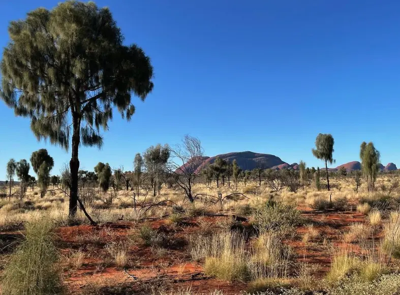 uluru tours from melbourne
