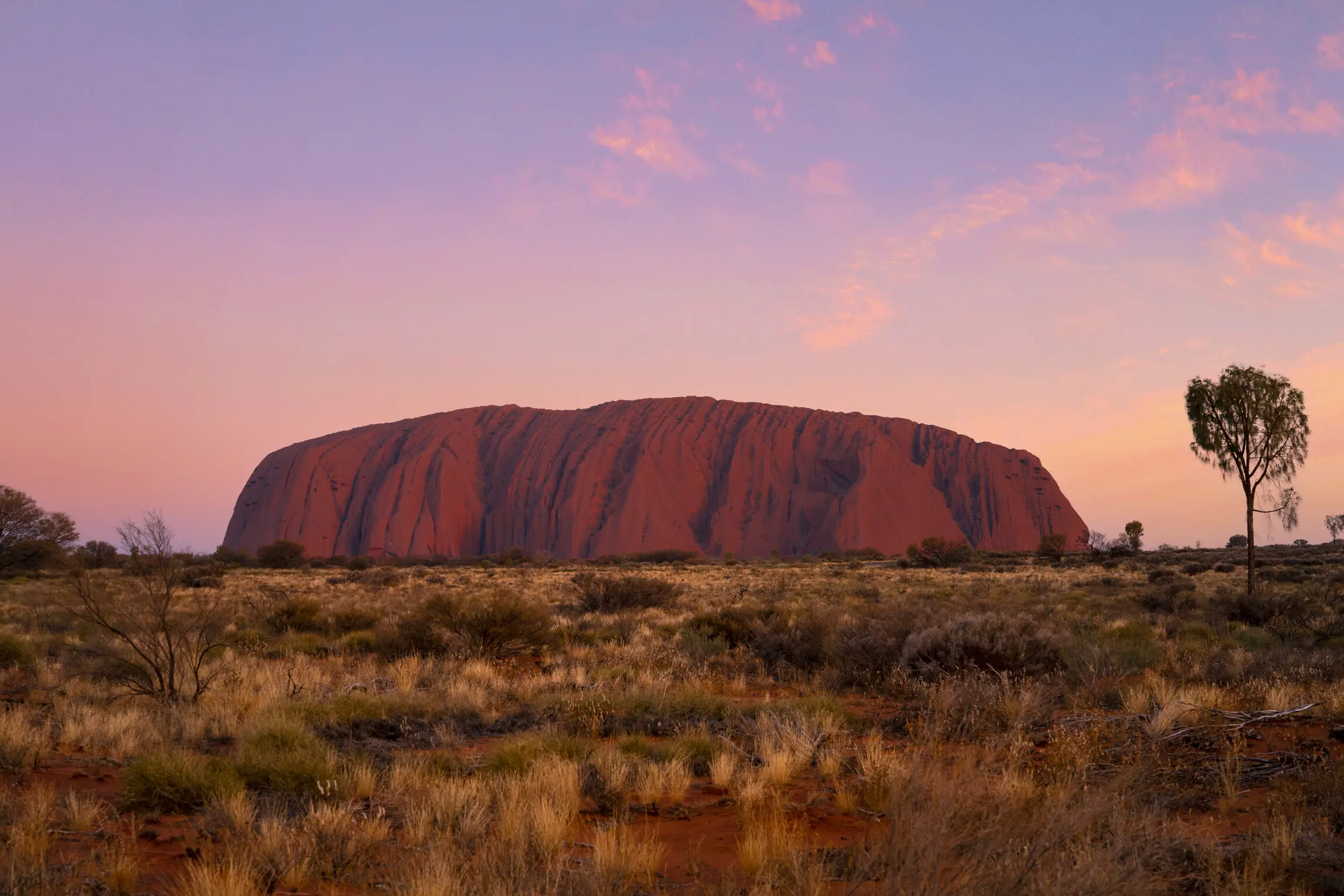 uluru tours