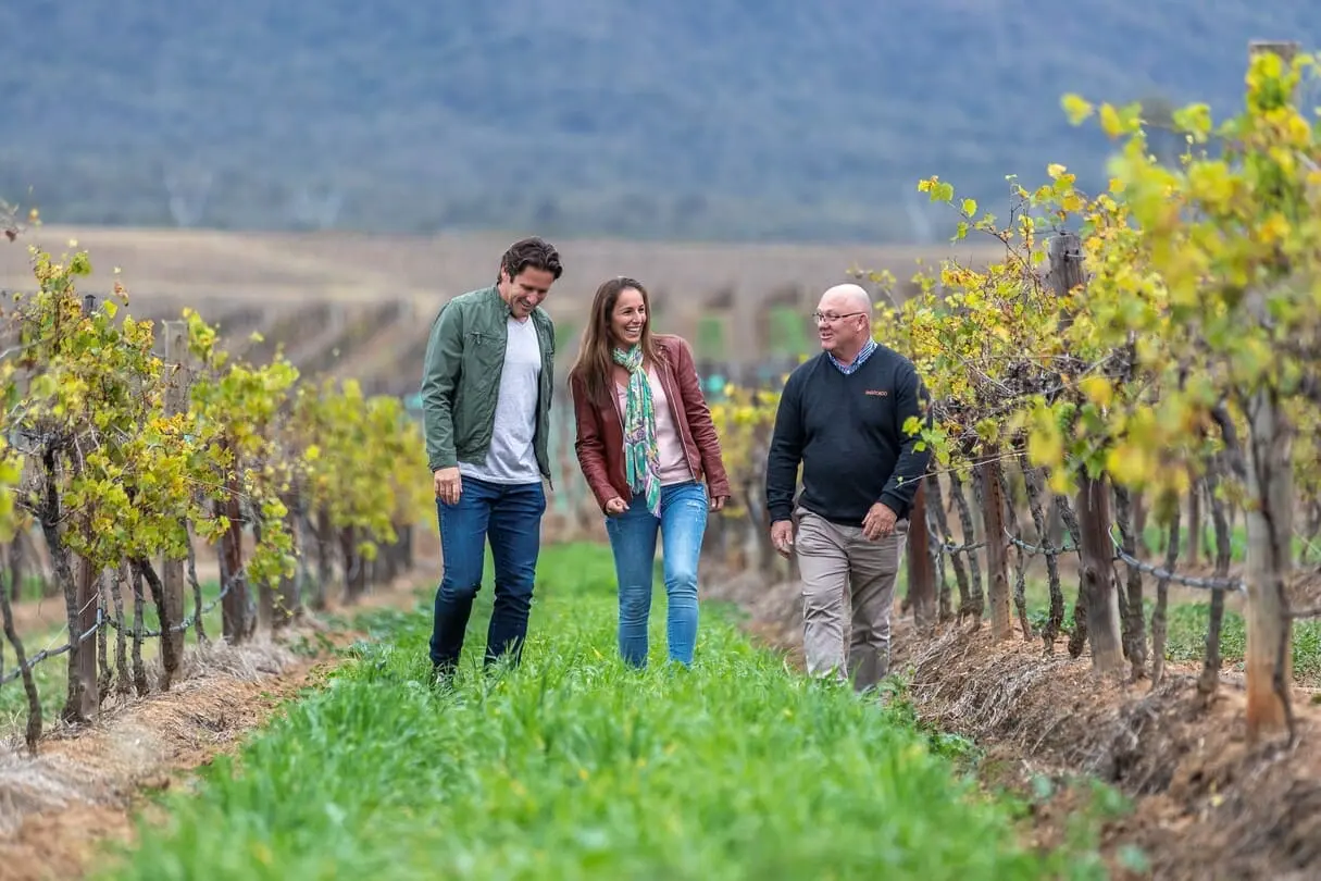 vinyard tours