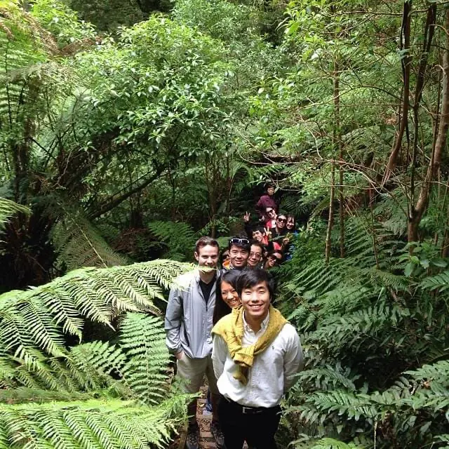 what to do in the otways