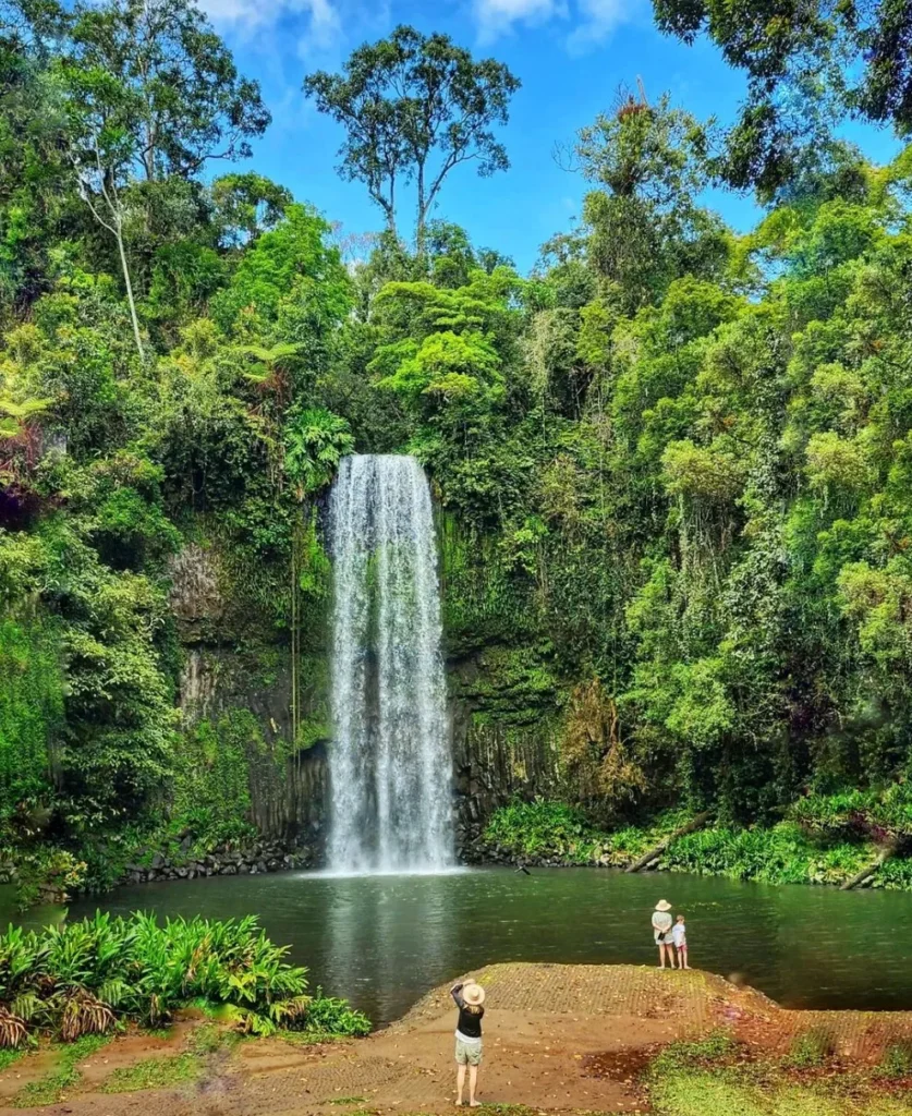Millaa Millaa Waterfall