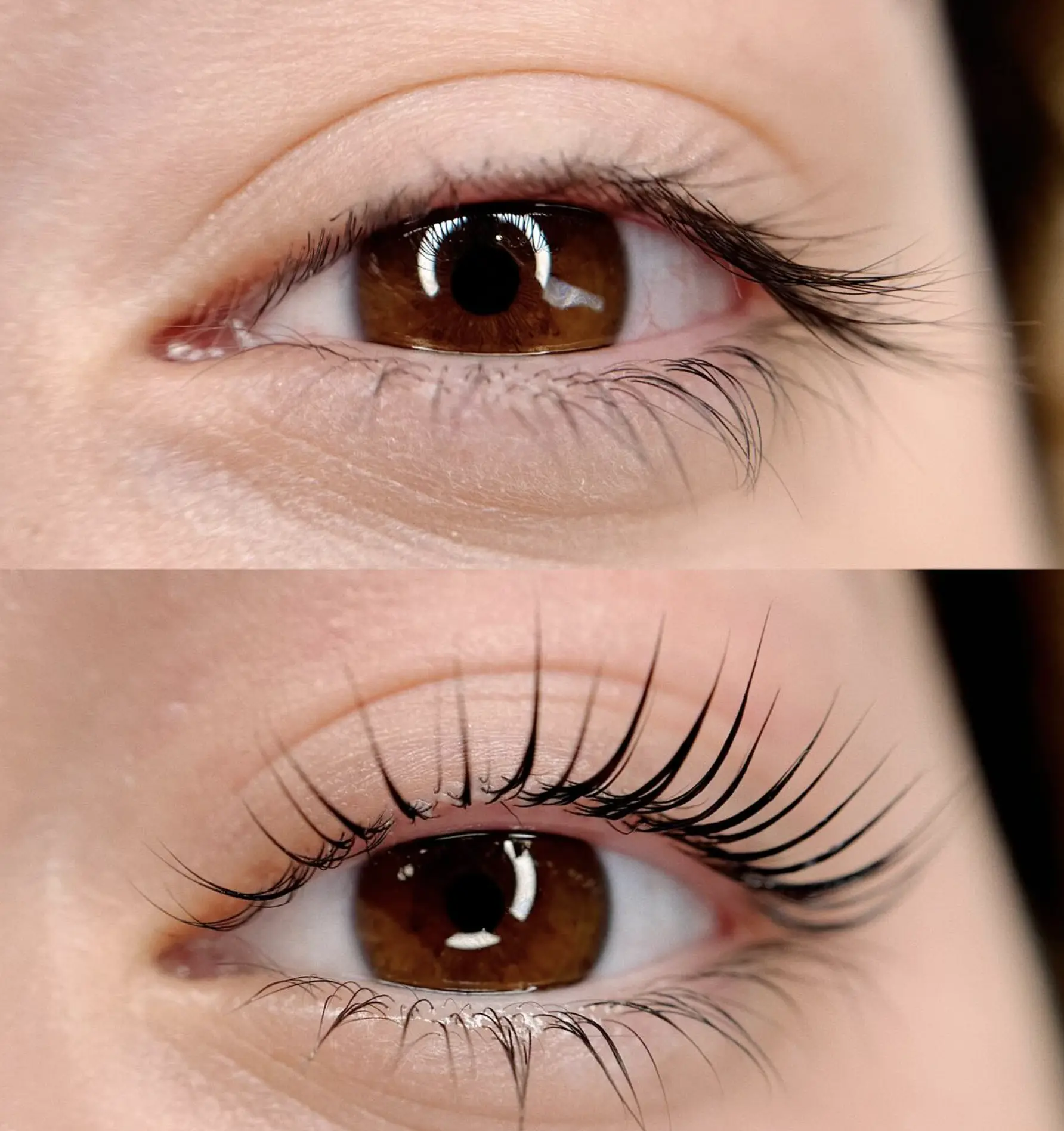 Lash Technician Australia