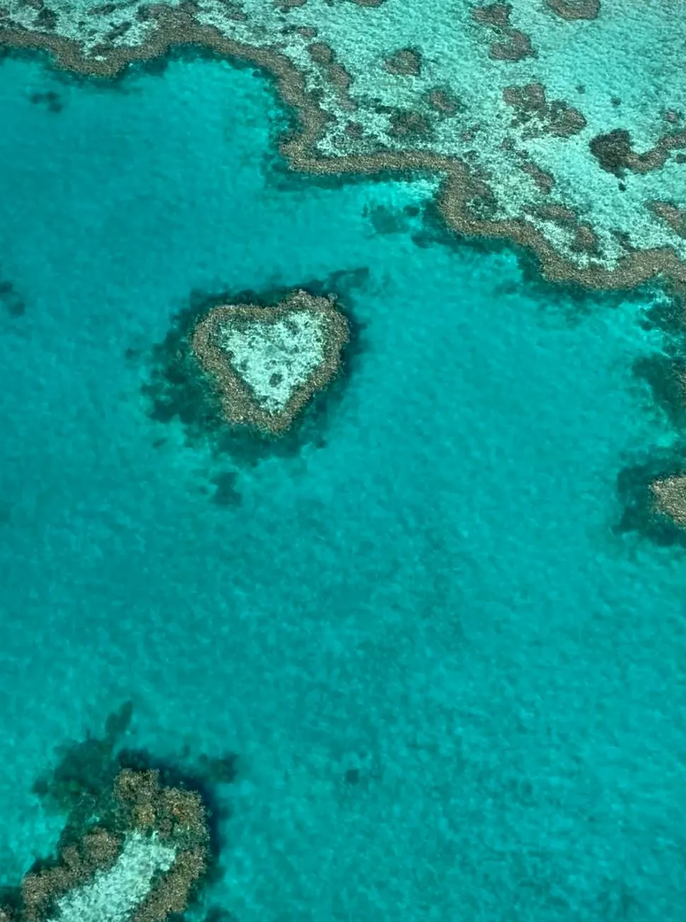 Great Barrier Reef Tours