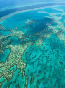 Is The Great Barrier Reef One Of The Seven Wonders