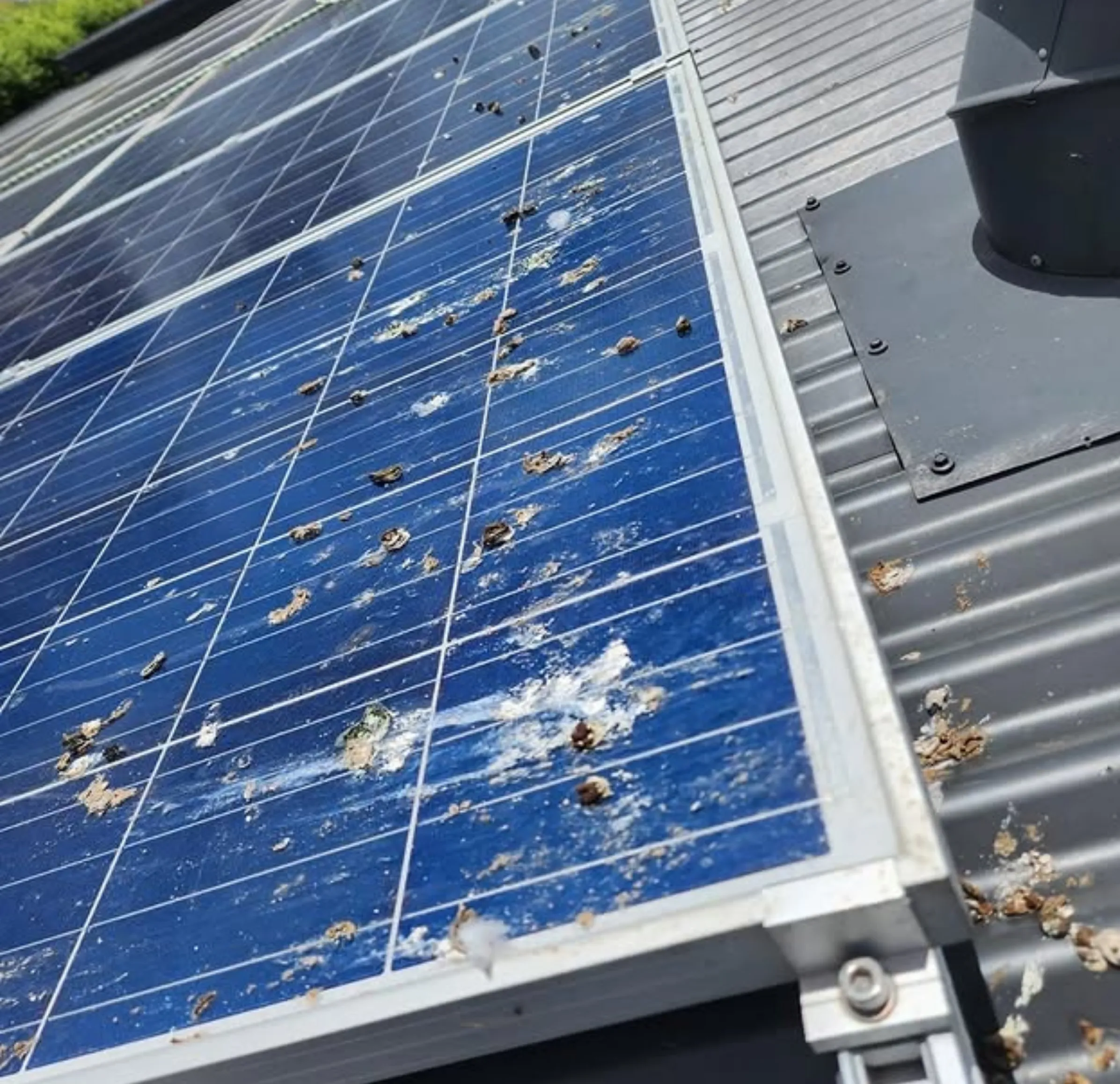 tap water solar cleaning
